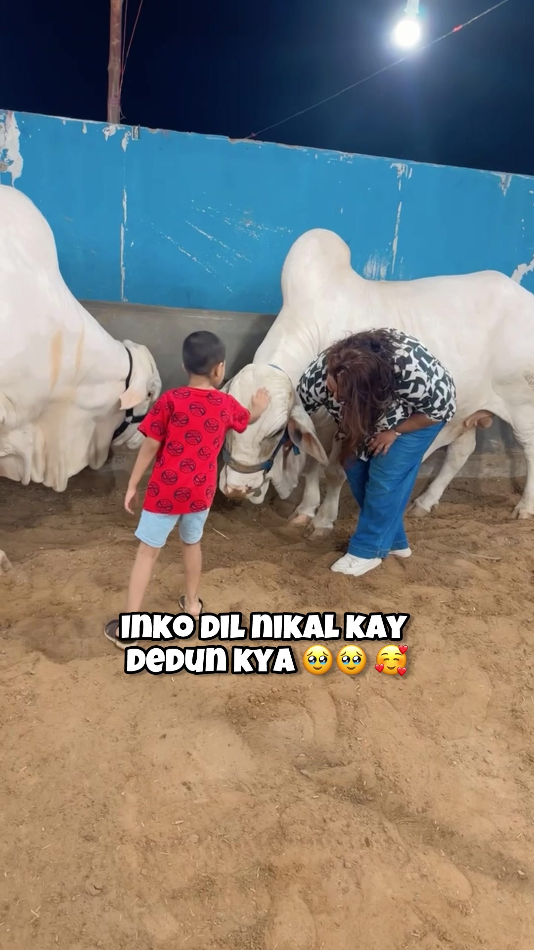@Areeba Jawed Saeed