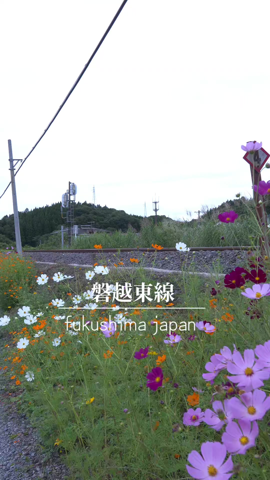 @tabi japan