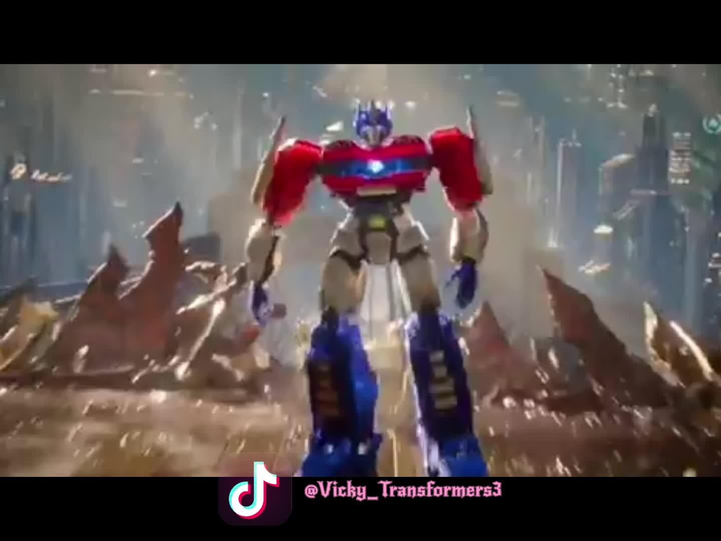 @✨Vicky_Transformers✨