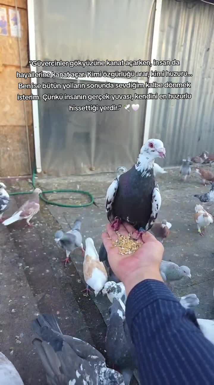 @EkReM dEmİr