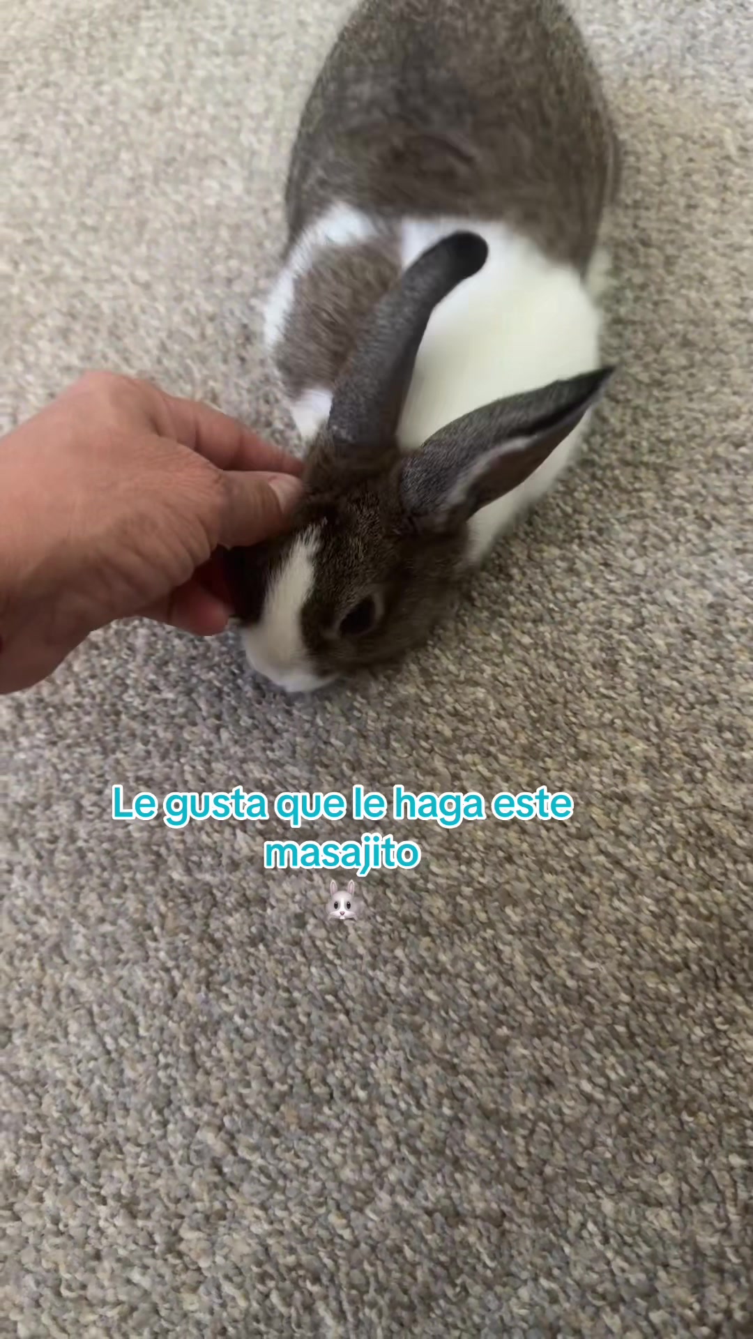 @Angie🥰