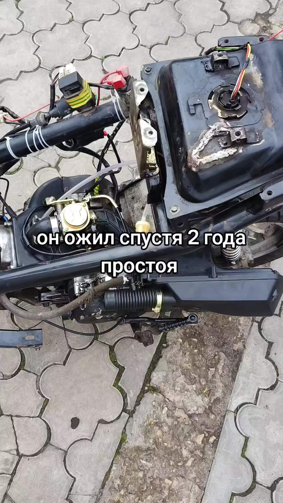@𝐯𝐥𝐚𝐝𝐢𝐤 🥷