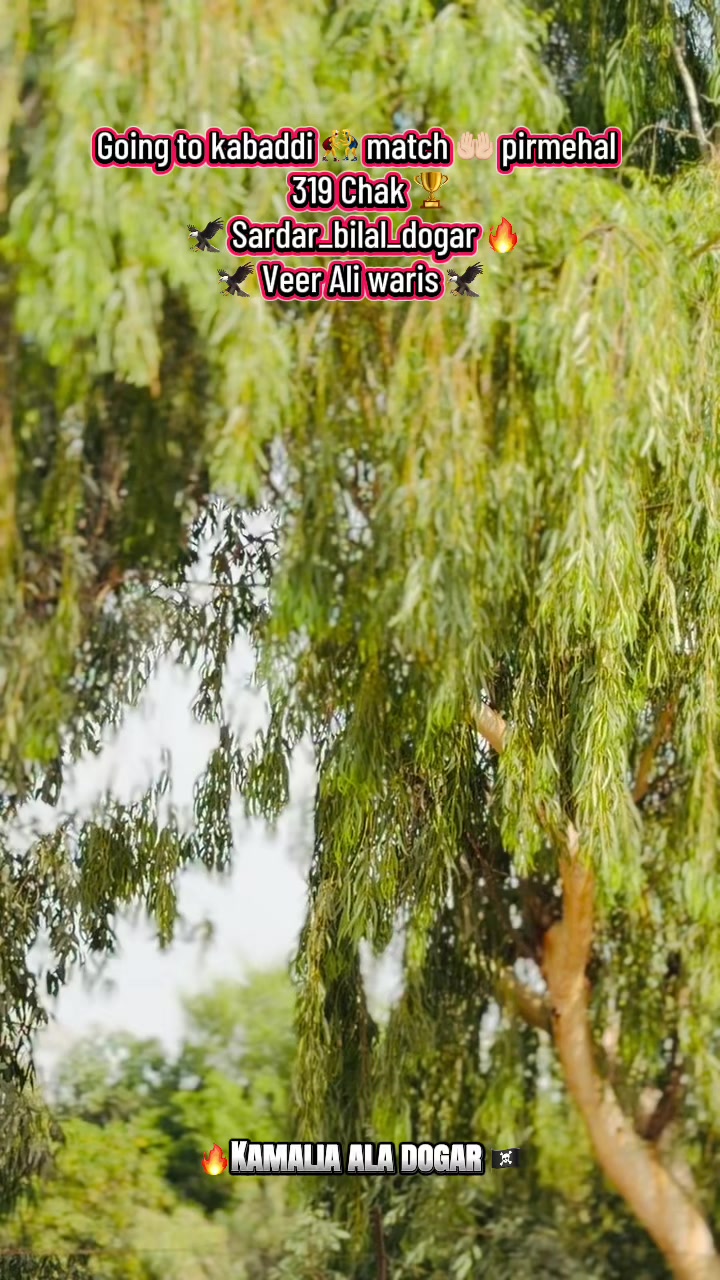 @bilalkamaliaala_777