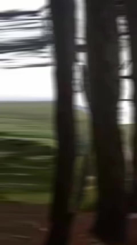 @yony.2026