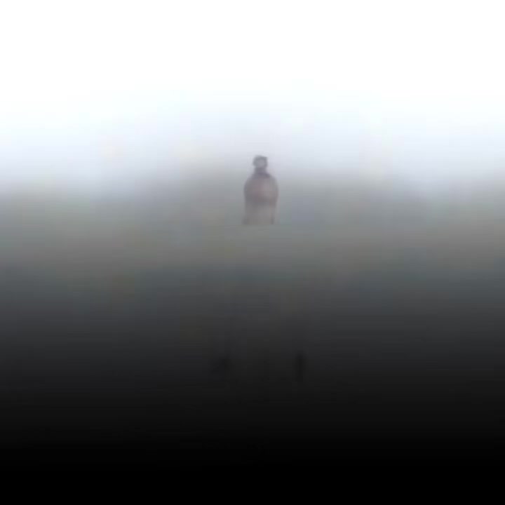 @sweetlyrics