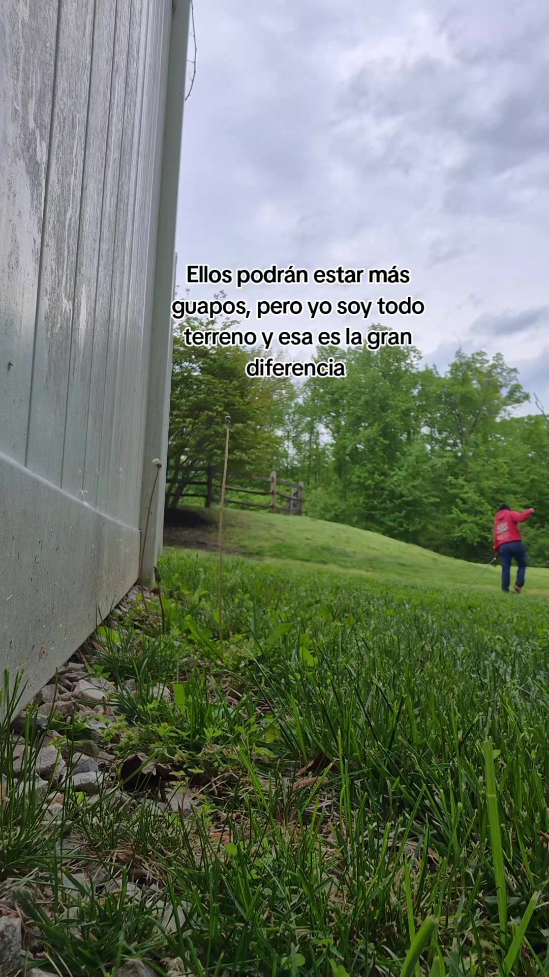 @Esteban Hernández Díaz