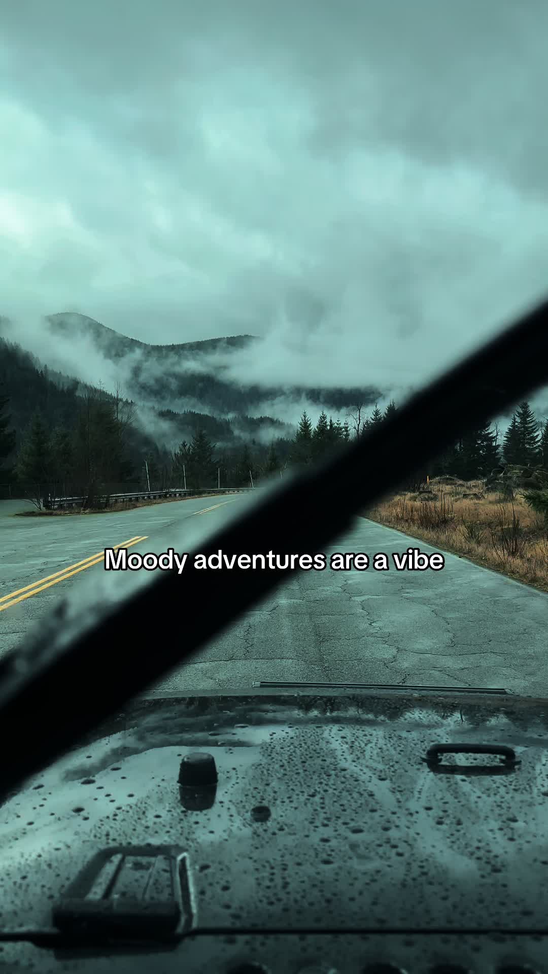 @🌲 James | WA 🏔️