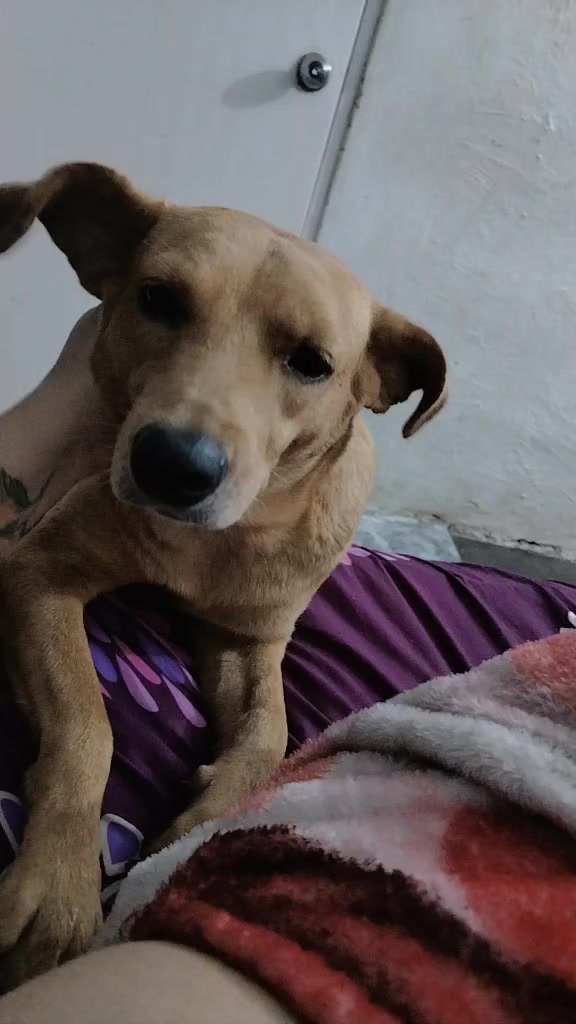 @❤️Lulú❤️