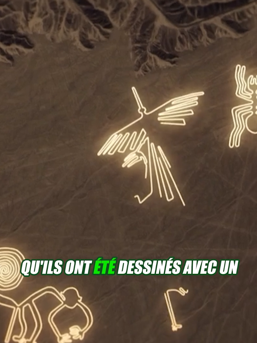 @Vico-Le Savais tu ?