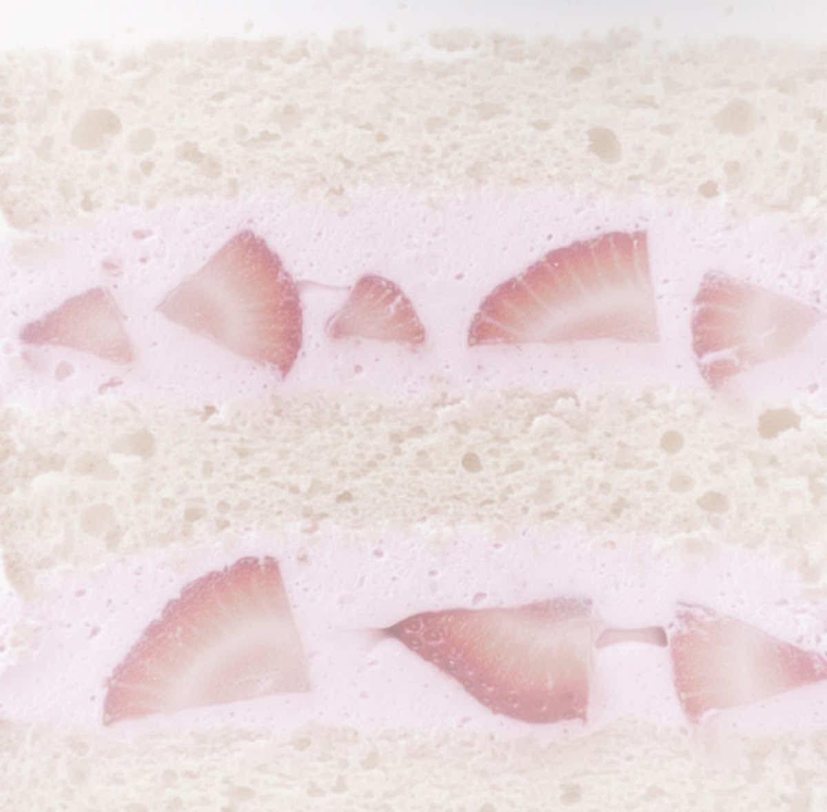@₍^. .^₎⟆