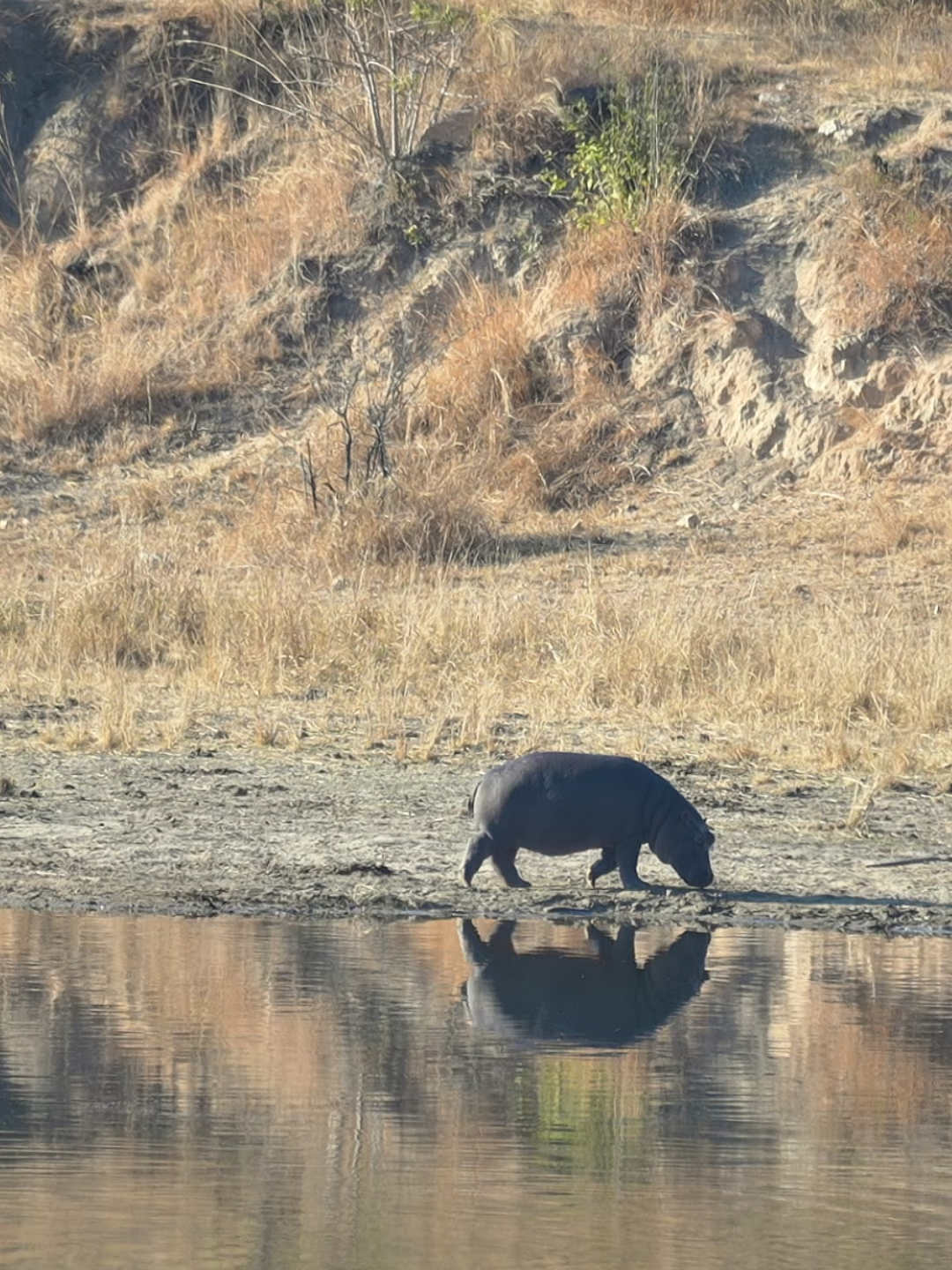 @Madbookings Travel Namibia