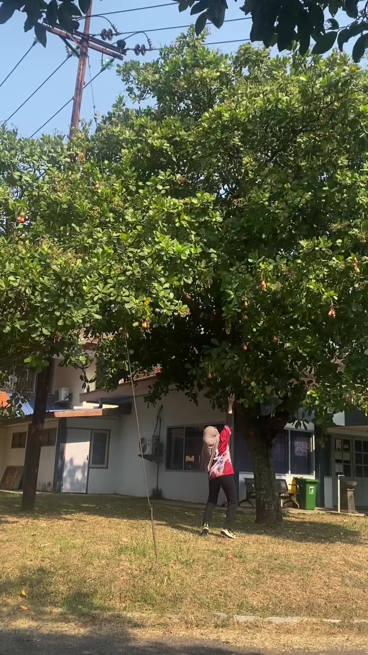 @Nindiaja