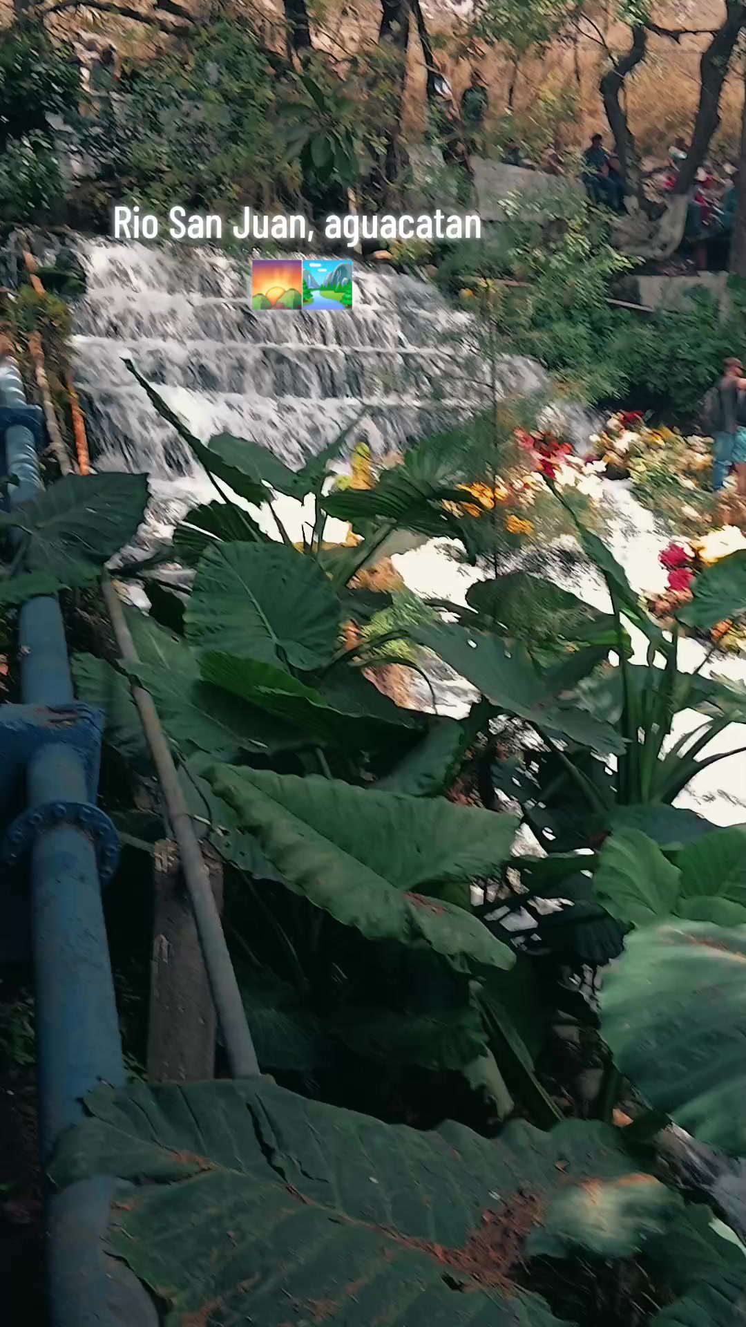@ELIAS CASTRO
