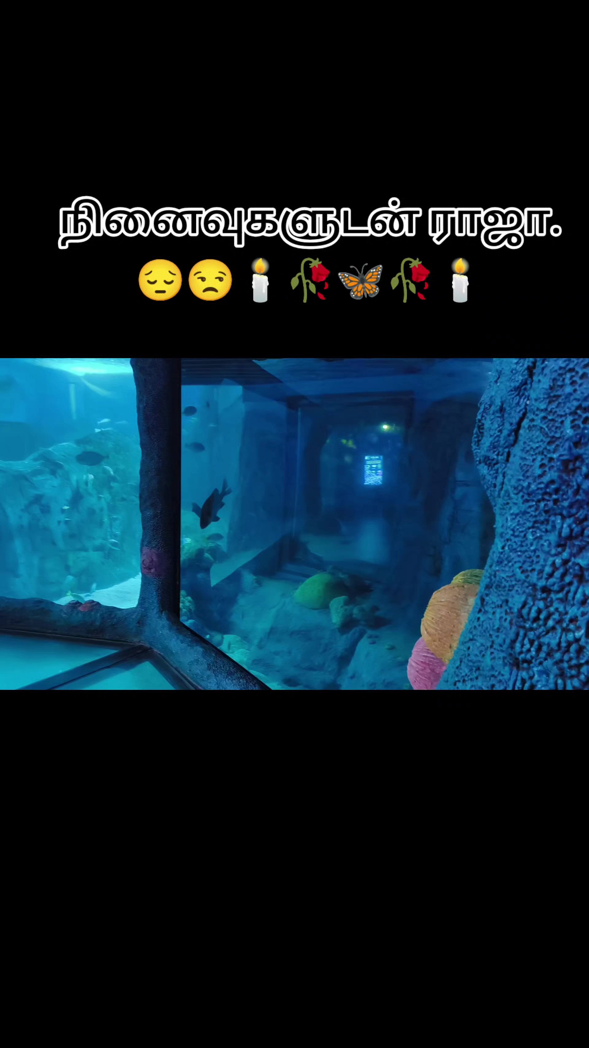 @Hanu RAJA
