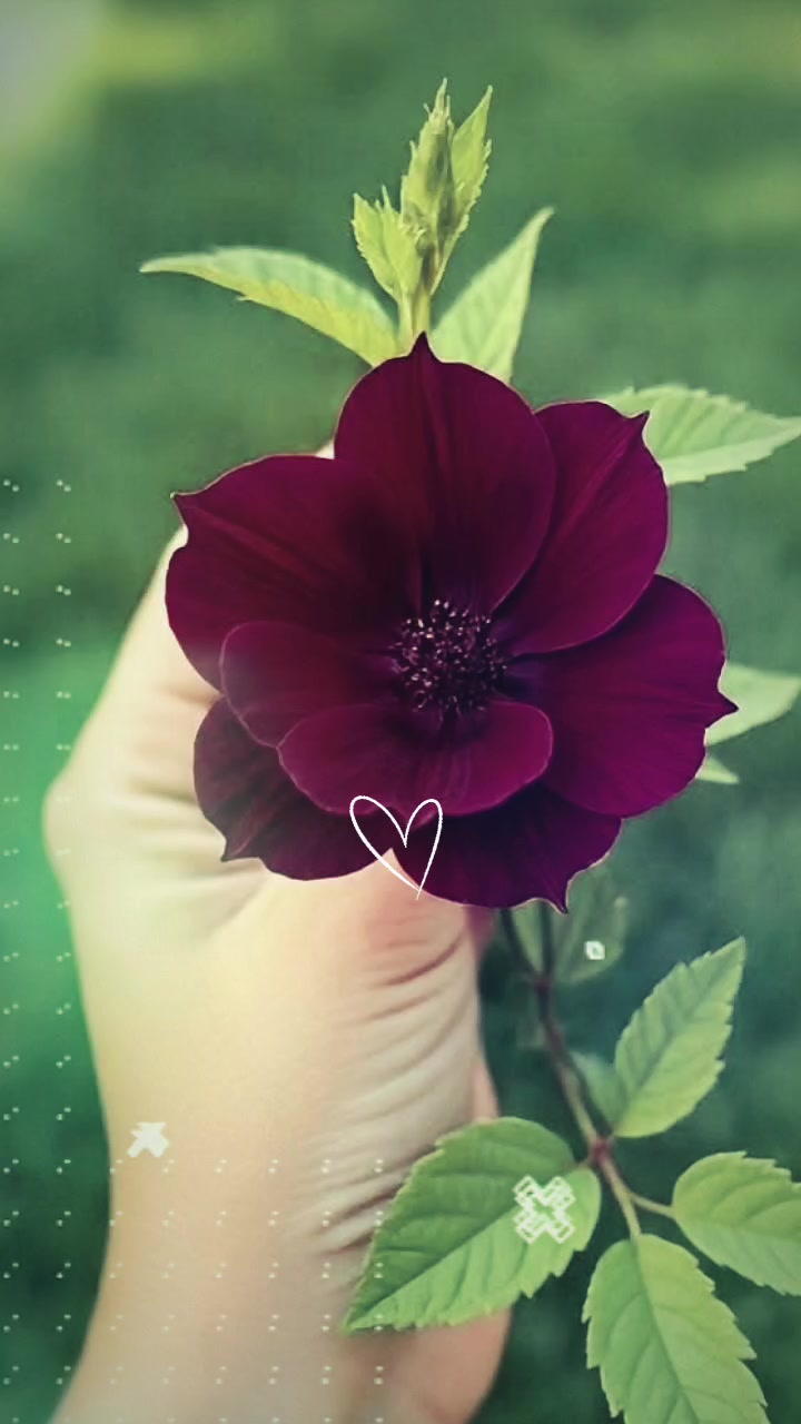 @🥀Maria Rivera🥀