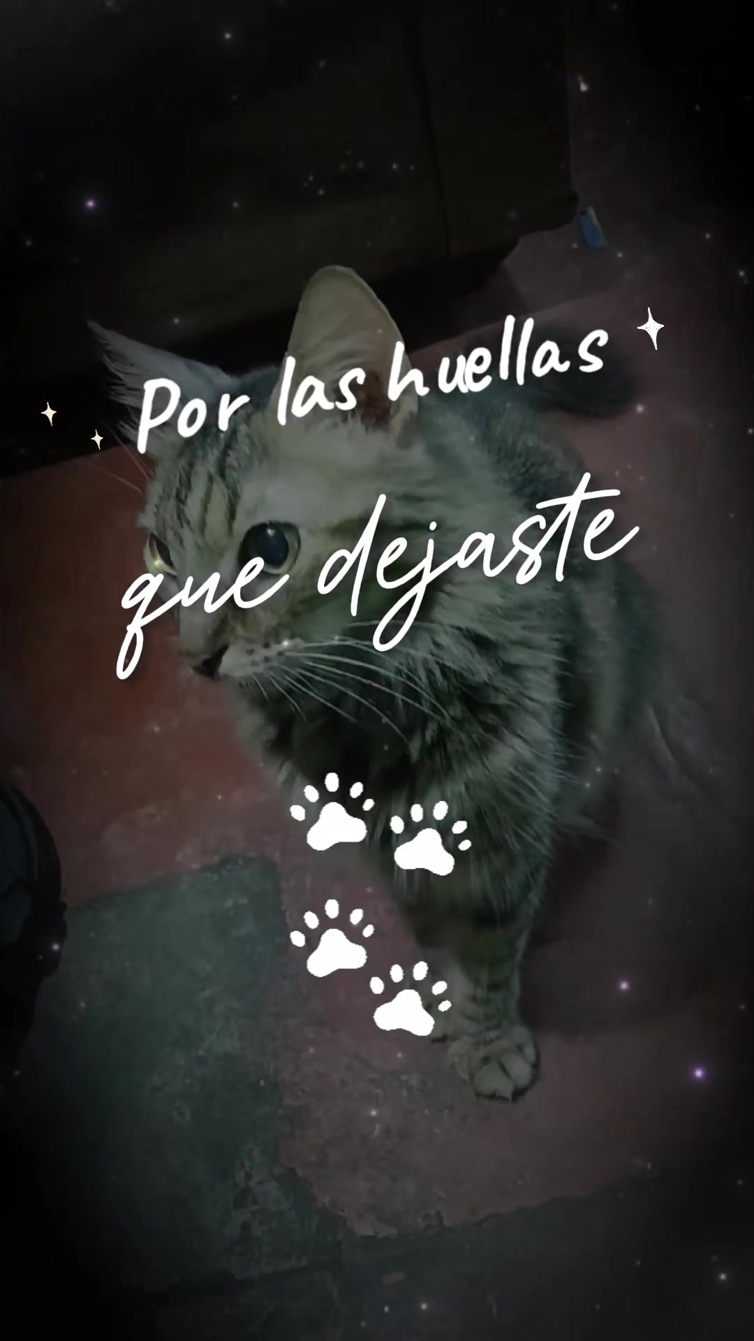 @Ines Ortega