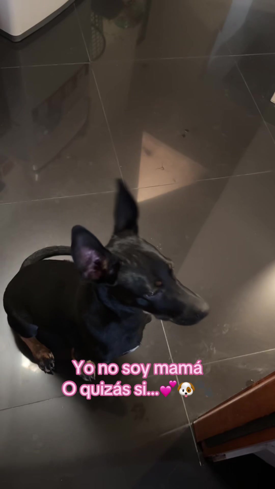 @๐ซ๐๐๐ ๐จ๐๐๐๐๐ฅ