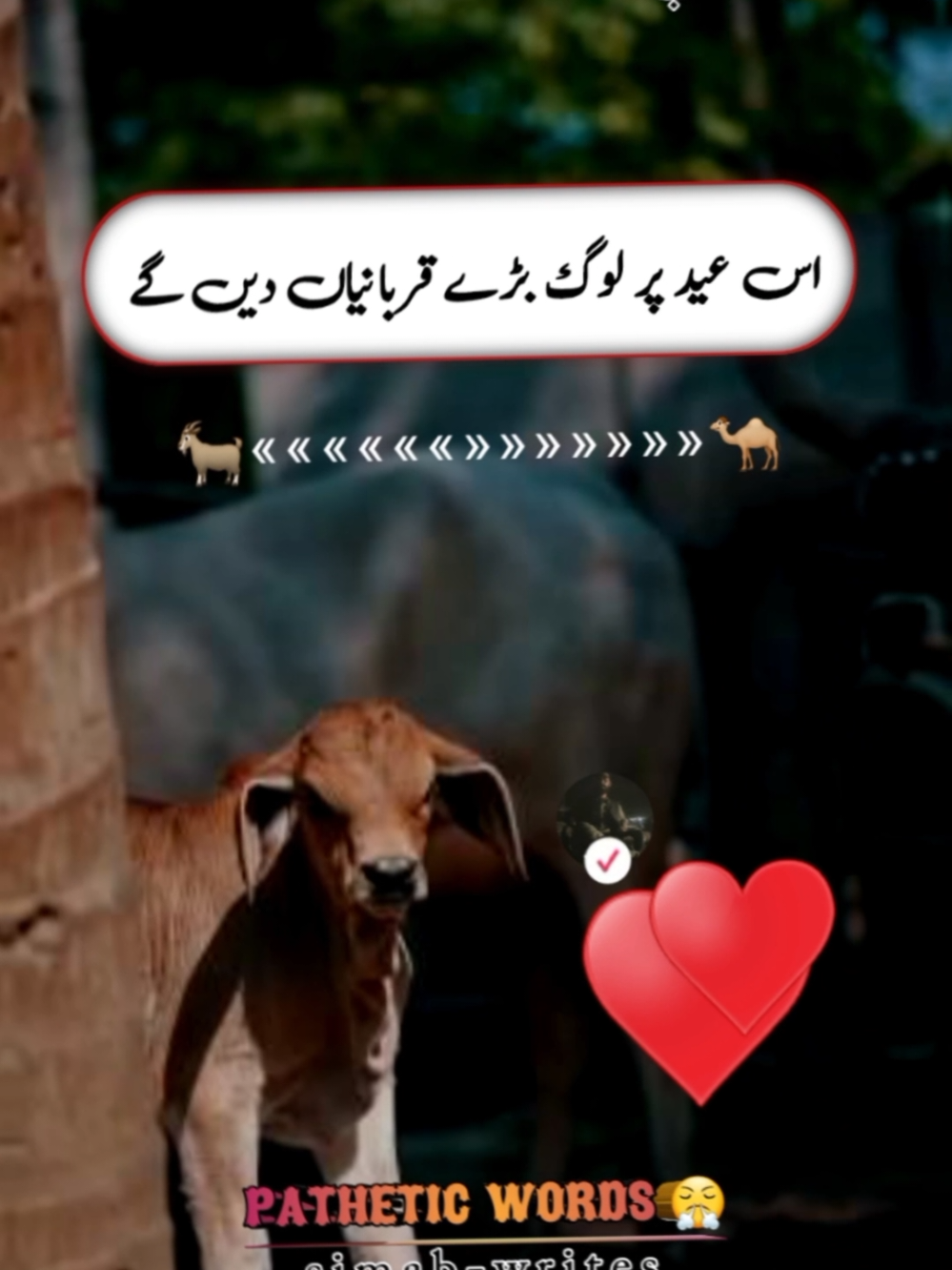 @Dard Qalaab