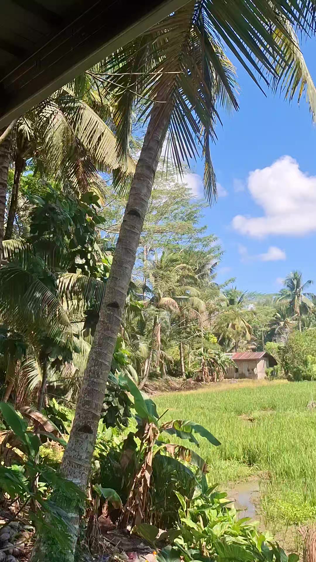 @KELLYBOY🇵🇭