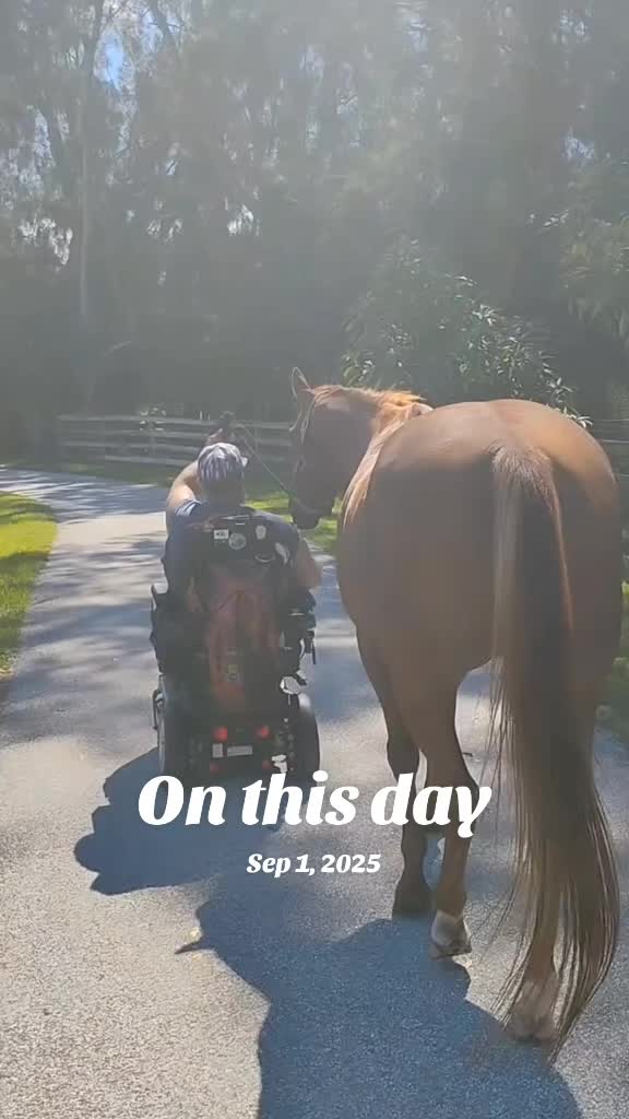 @Flhorselife772