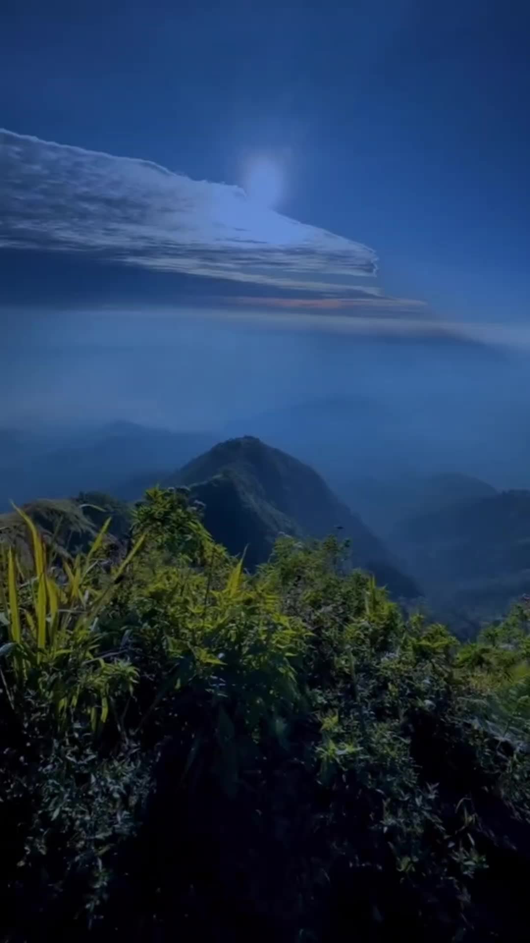 @럭셔뤼덤머!