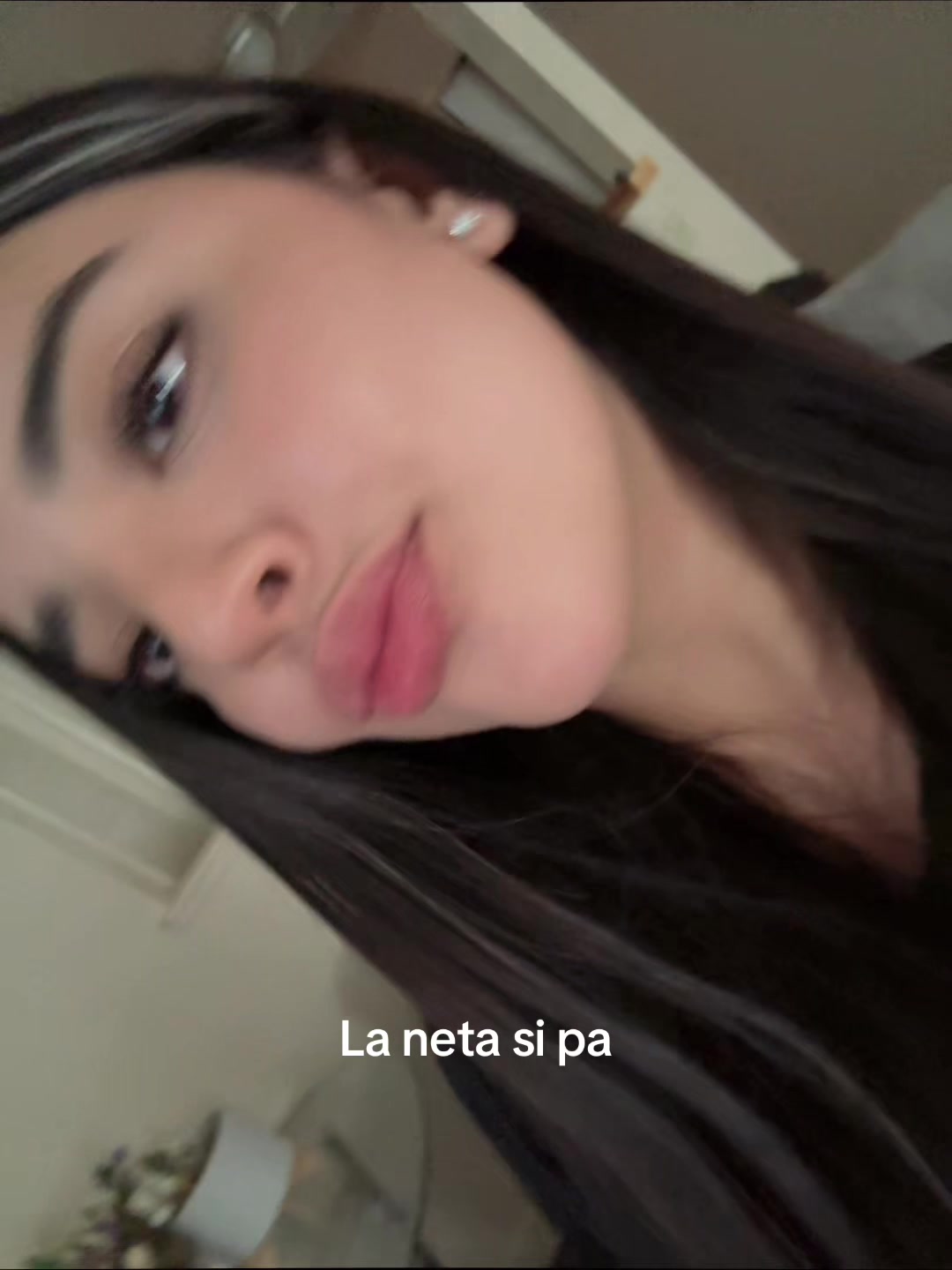 @daniela beltran