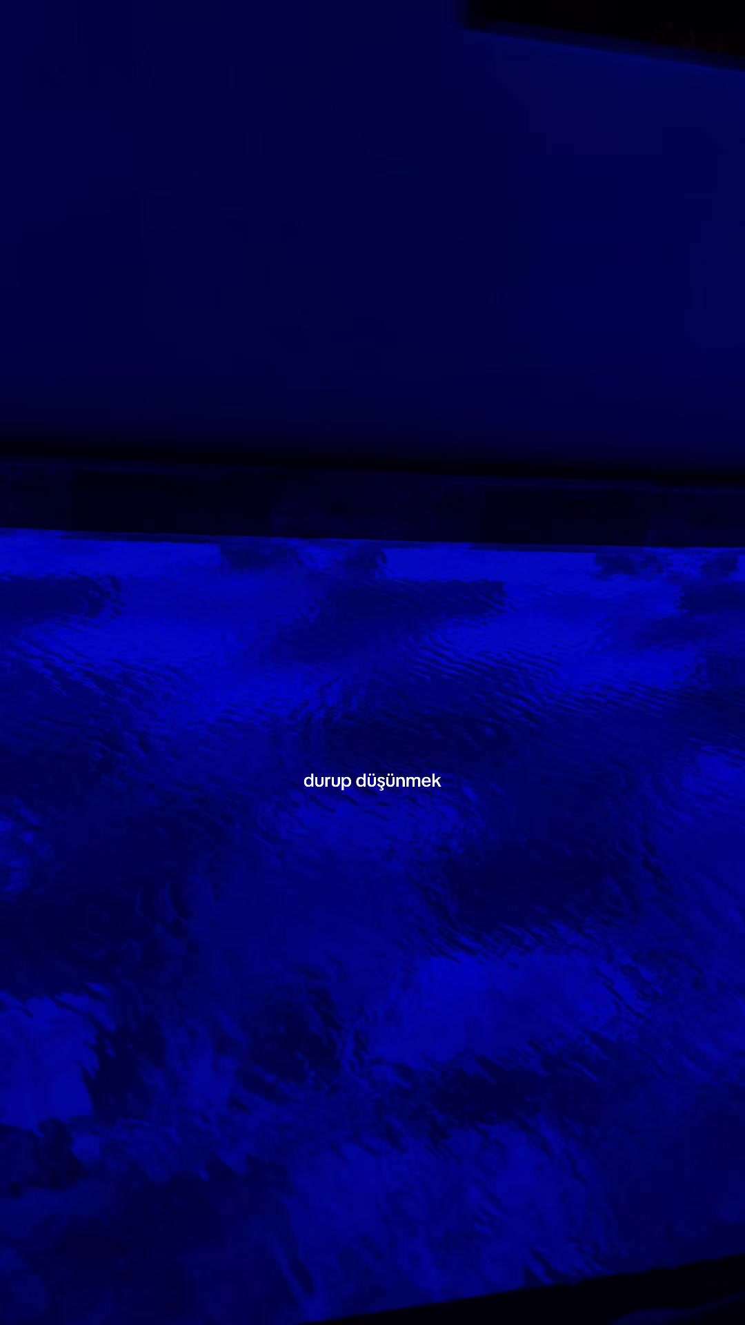 @lyricays