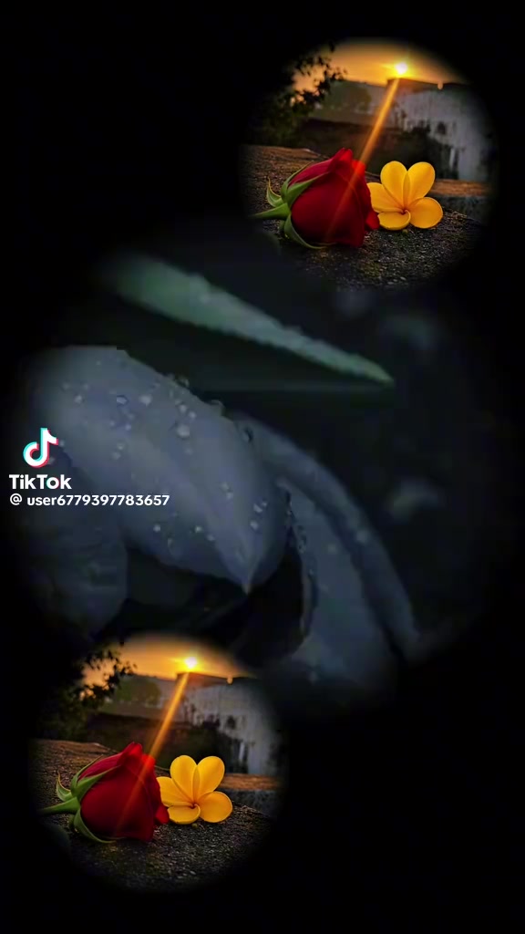 @user22567126880101