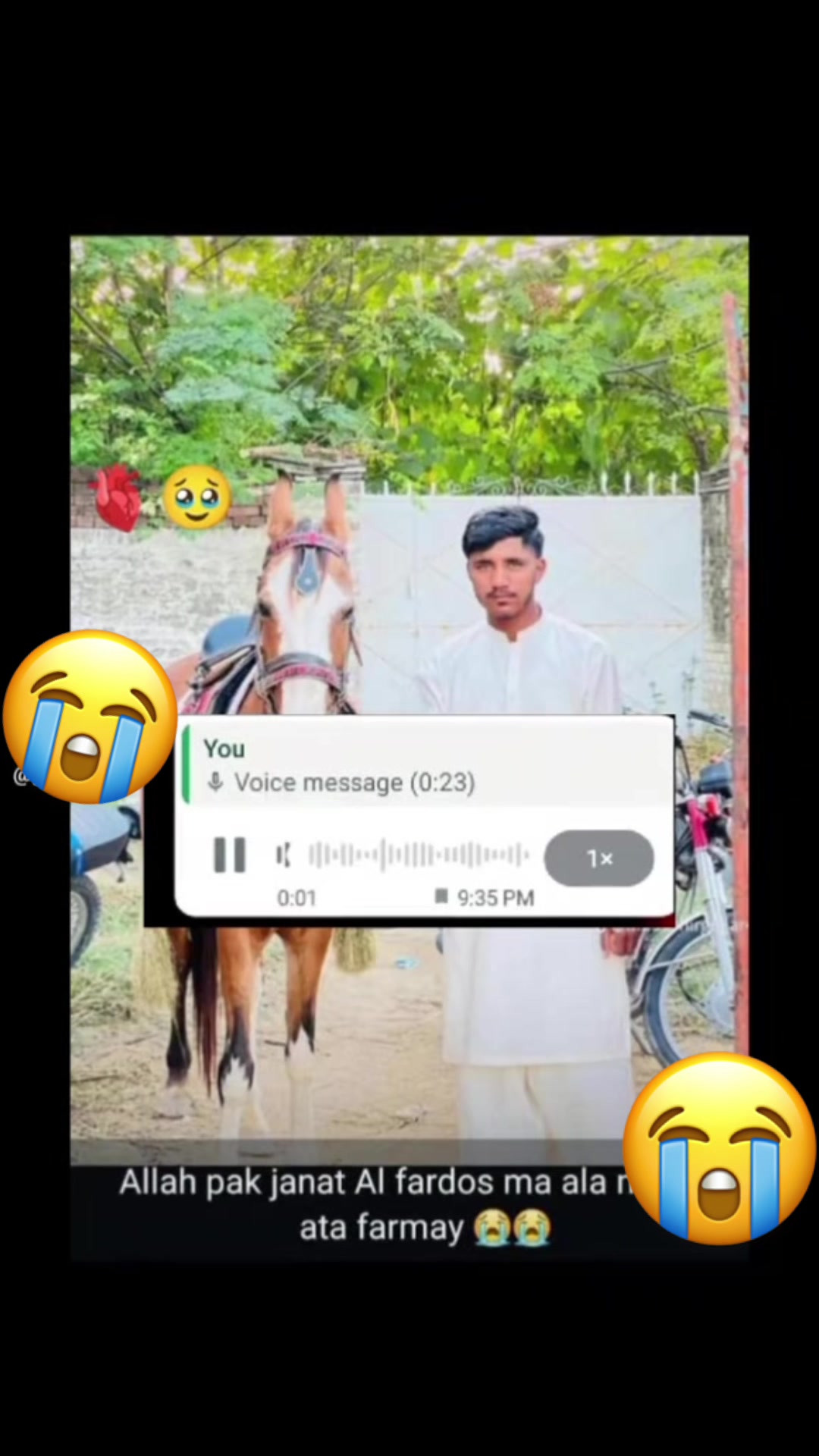 @مبشر گجر