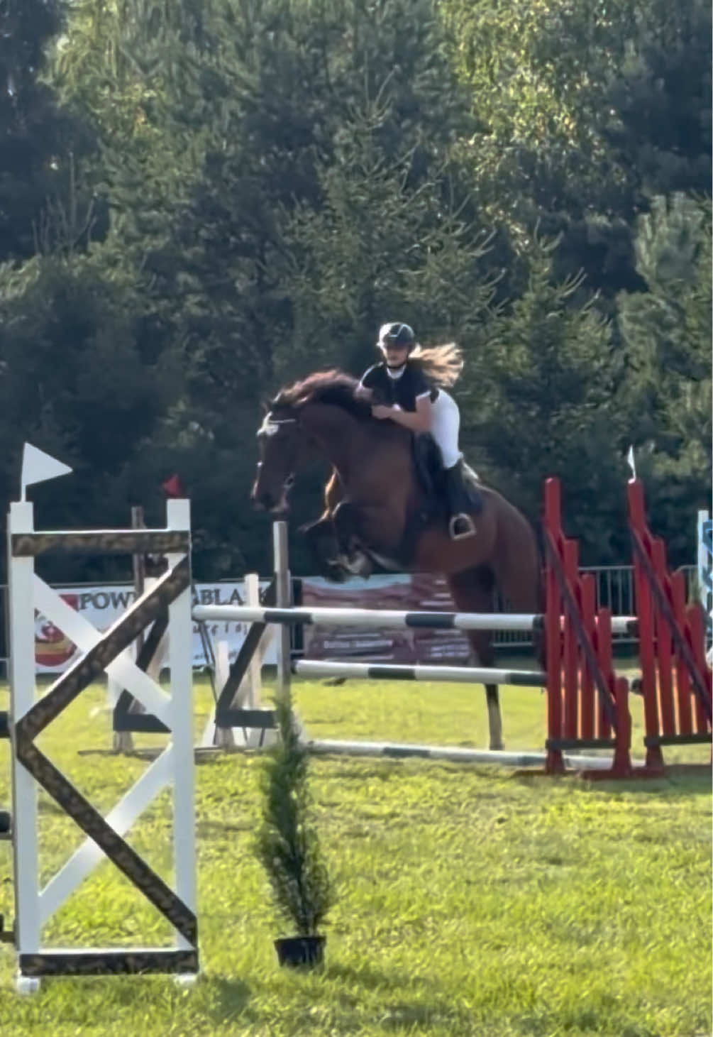 @💋🐴