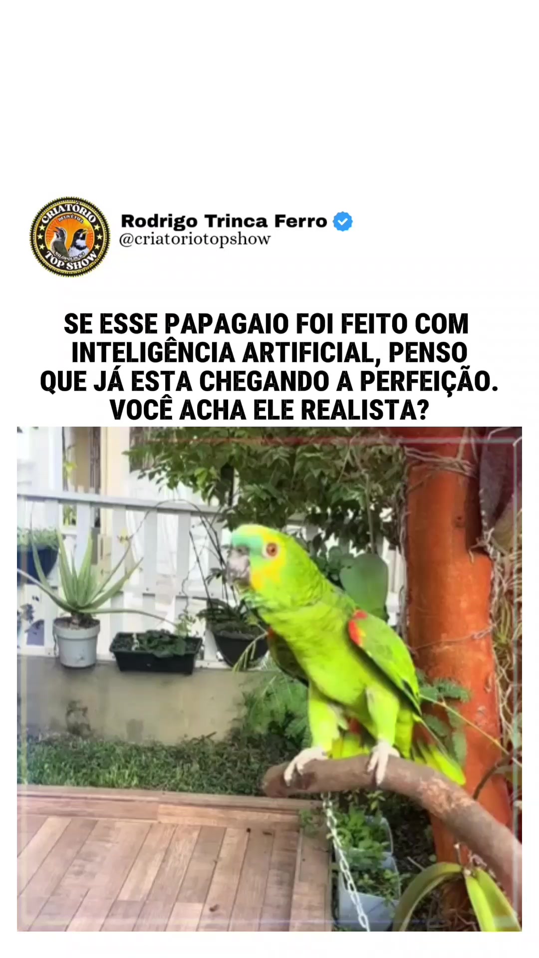 @criat&oacute;rio Top show
