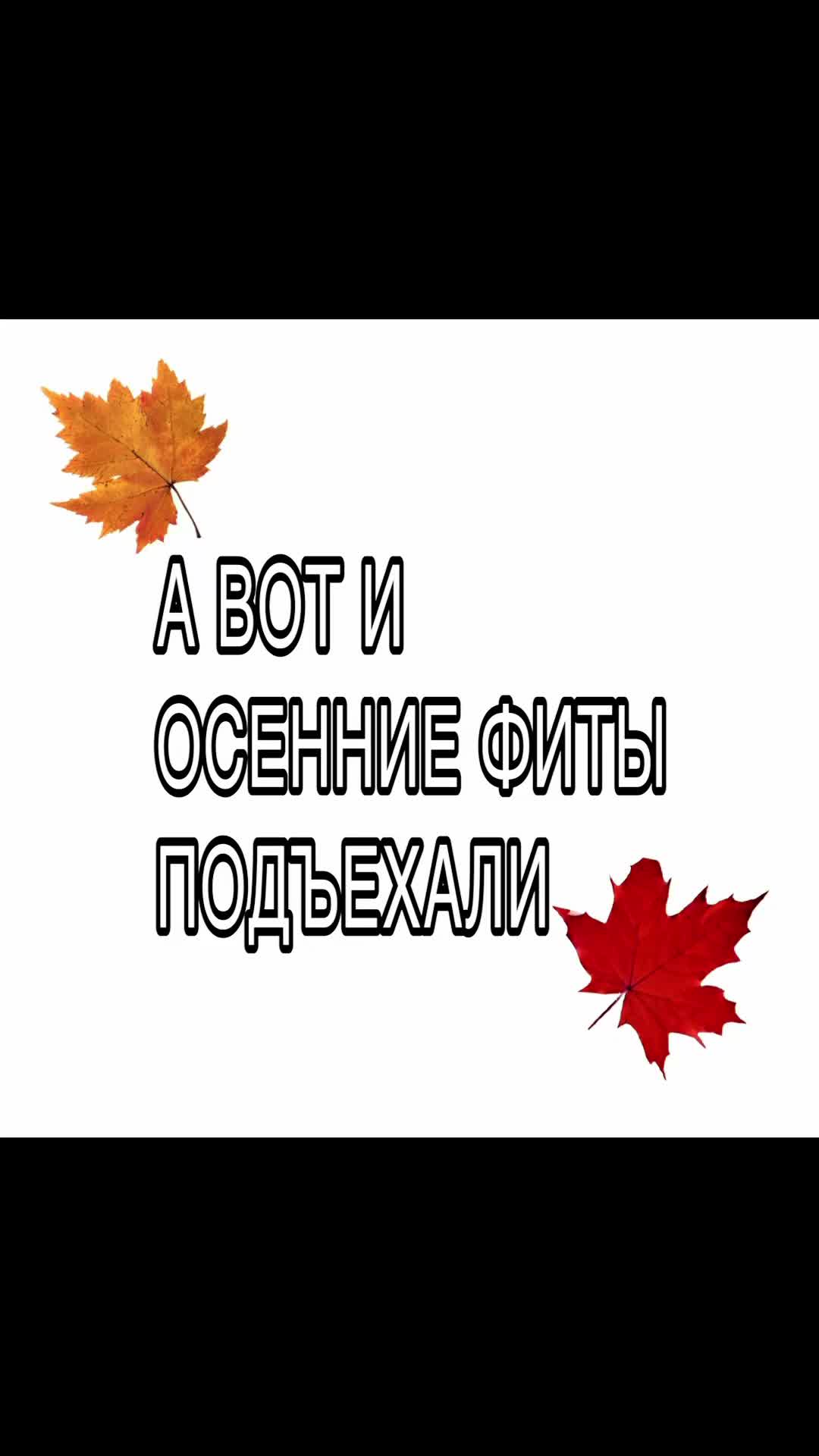 @тгк: serafim6s