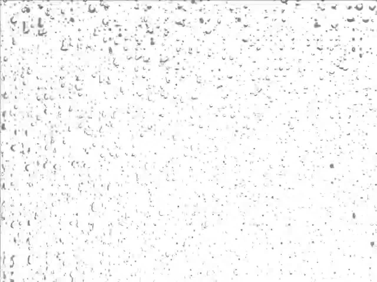 @𝐒𝐚𝐥𝐲𝐡_7