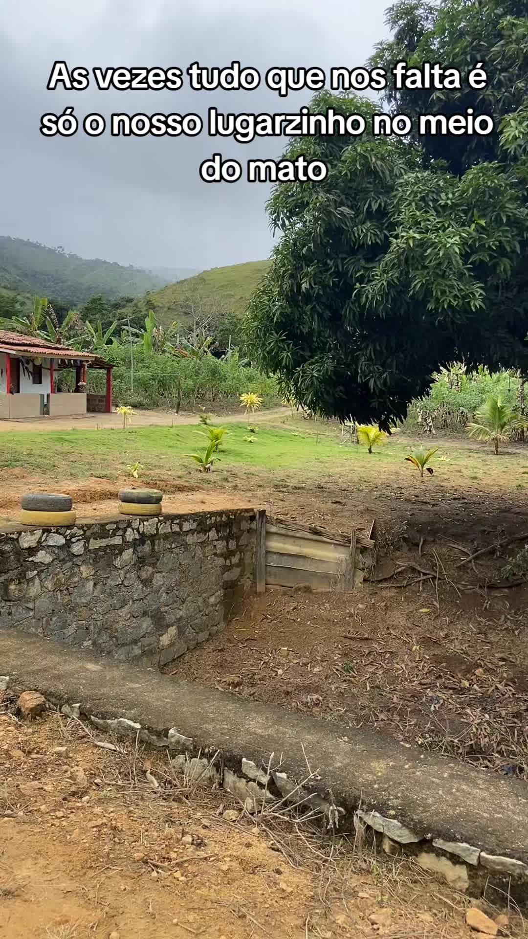 @Roça 🤠🌱
