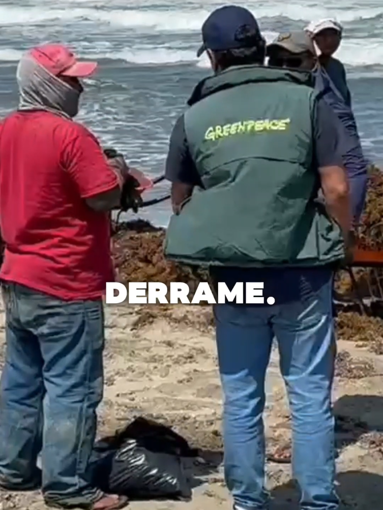 @Greenpeace México