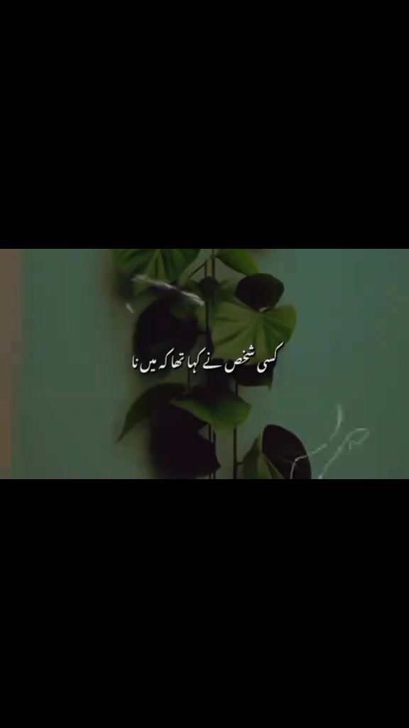 @{𝐀𝐋𝐢}°𝐒𝐮𝐥𝐭𝐚𝐧 𝐨𝐅𝐅⛎