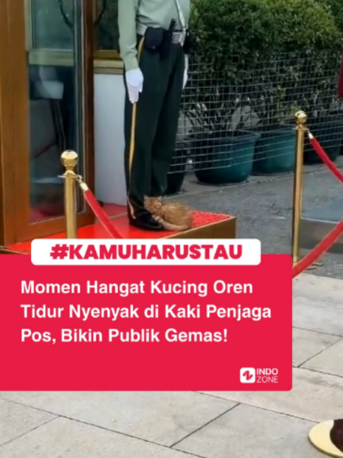 @INDOZONE