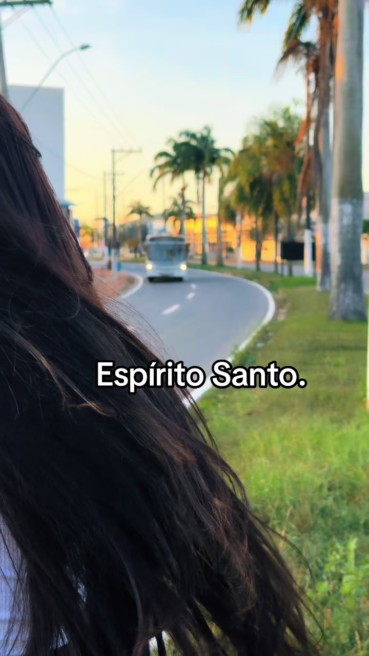@Evellyn🇧🇷🇫🇷🇮🇹🇹🇷