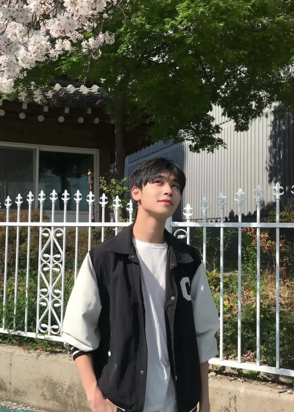 @bl.fanacct on IG