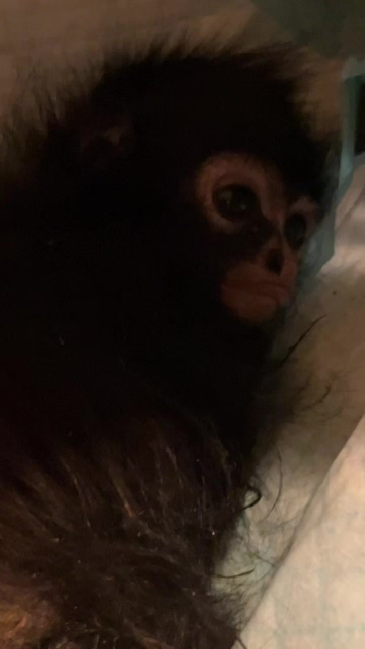 @vivi