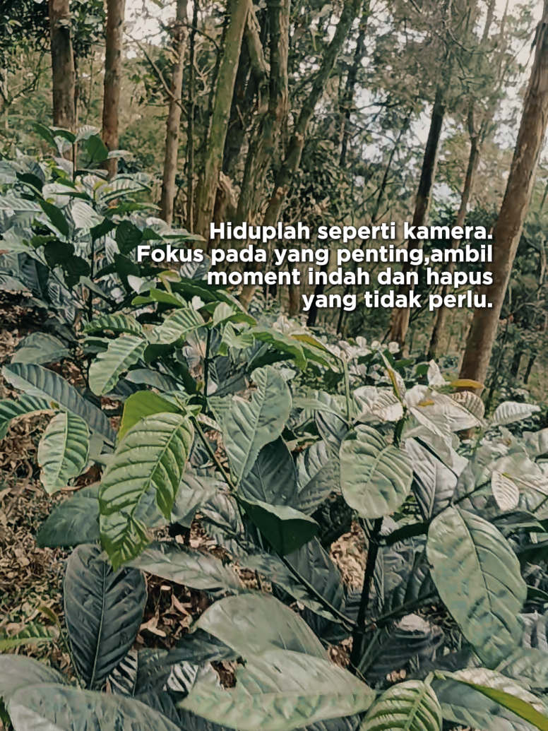 @kopi HD