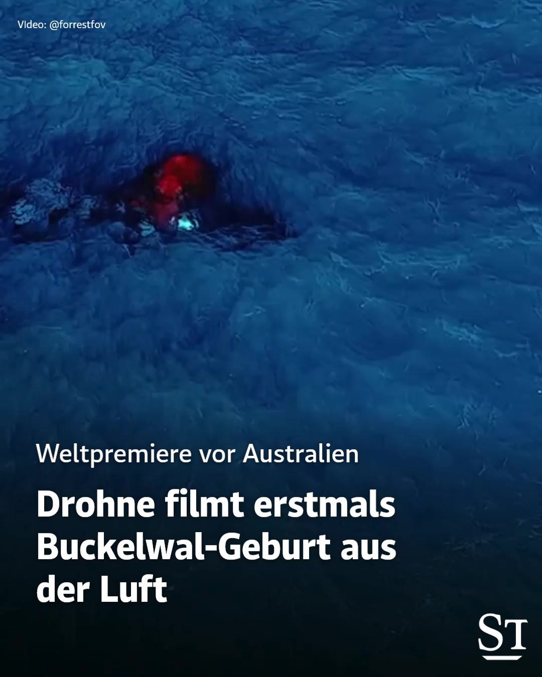 @DER STANDARD News