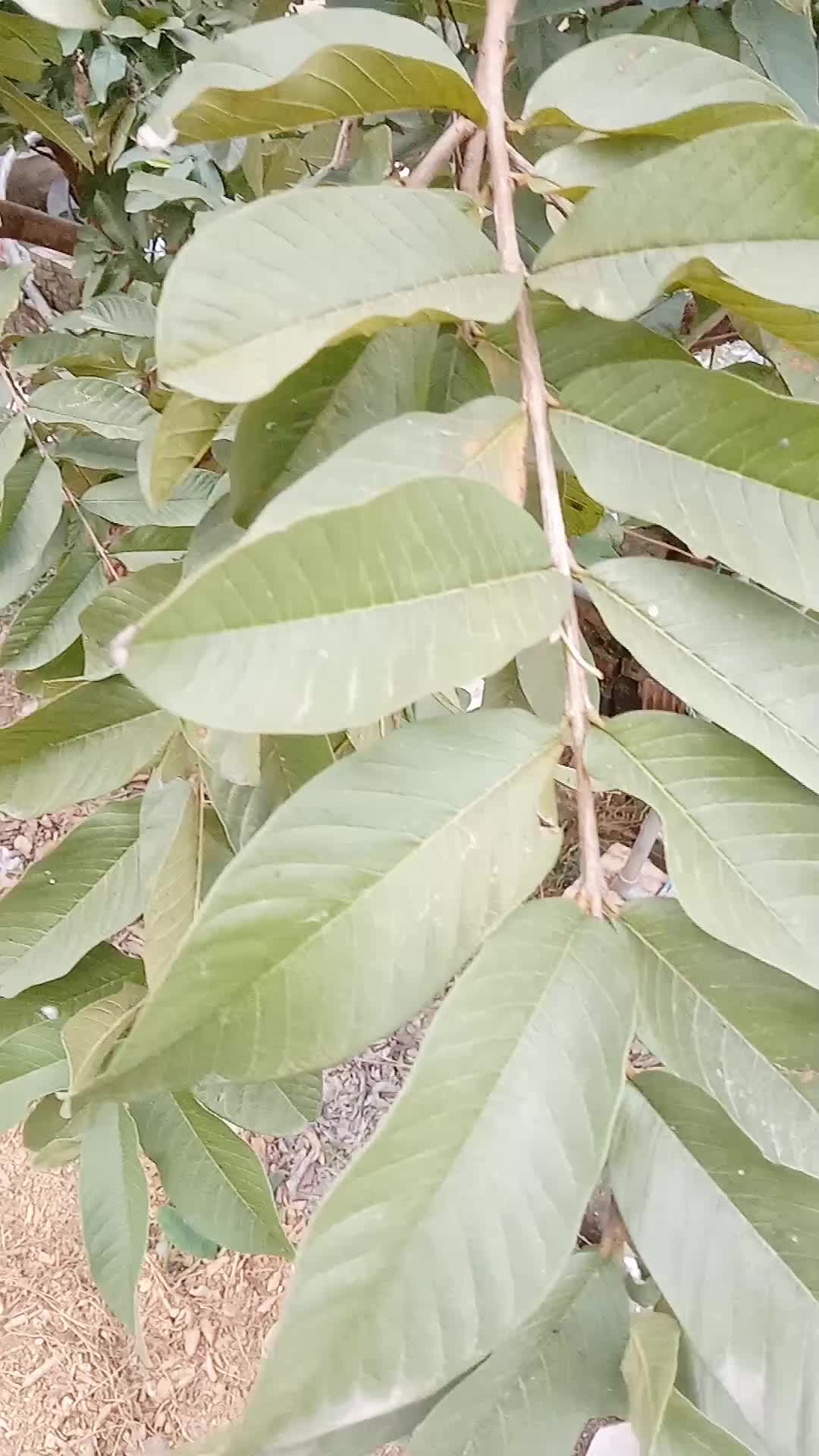 @thương c&ocirc;ng sức khỏe