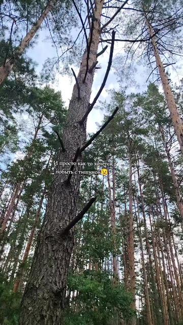 @Дина Чепикова