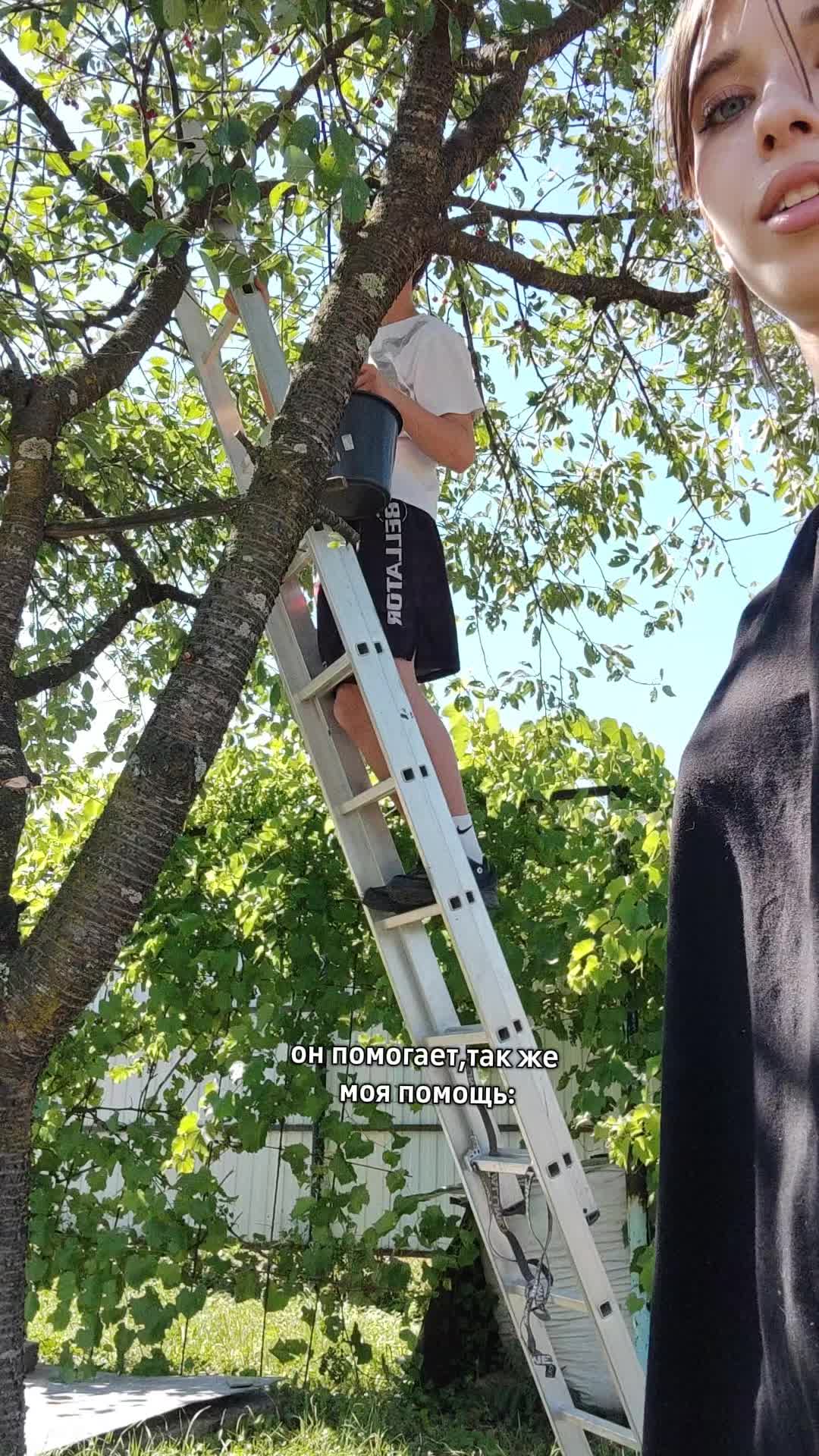 @аляска