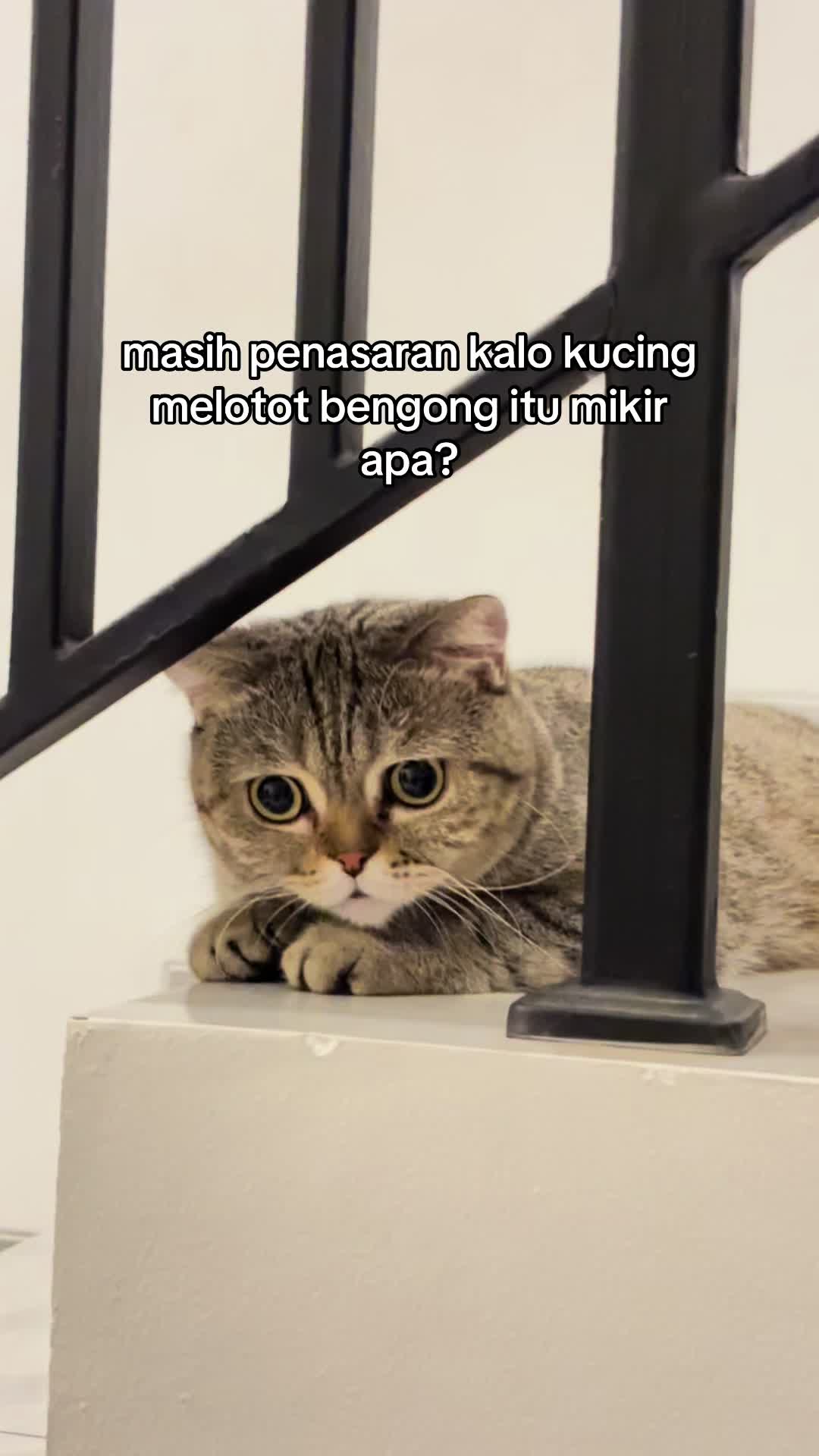 @OxaliStore
