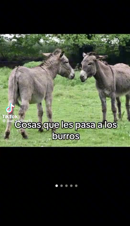 @santiago gutierrez✅️