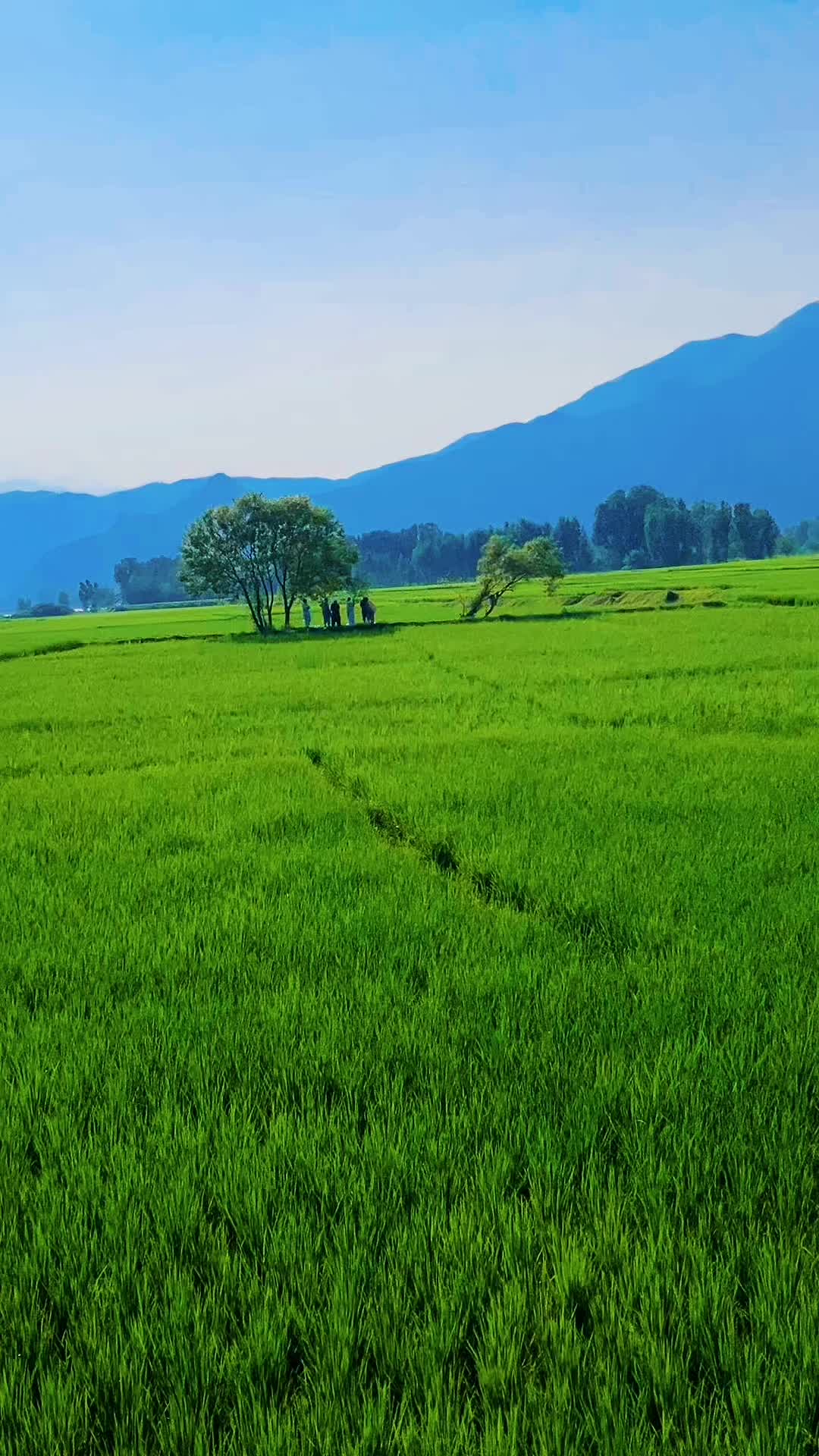 @♛꧁༒𝐇𝐊☠𝐌𝐀𝐋𝐀𝐊ᵒ𝟑𝟑🇵🇰༒꧂♛