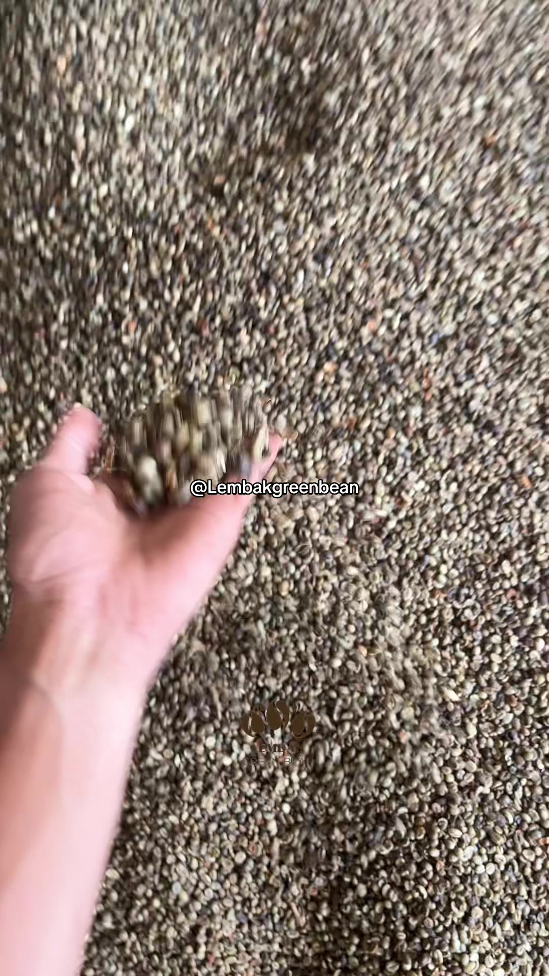 @LembakGreenbean