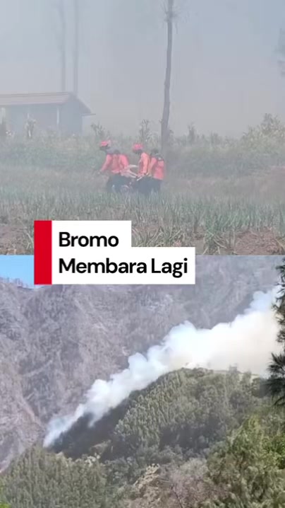@detikjatim